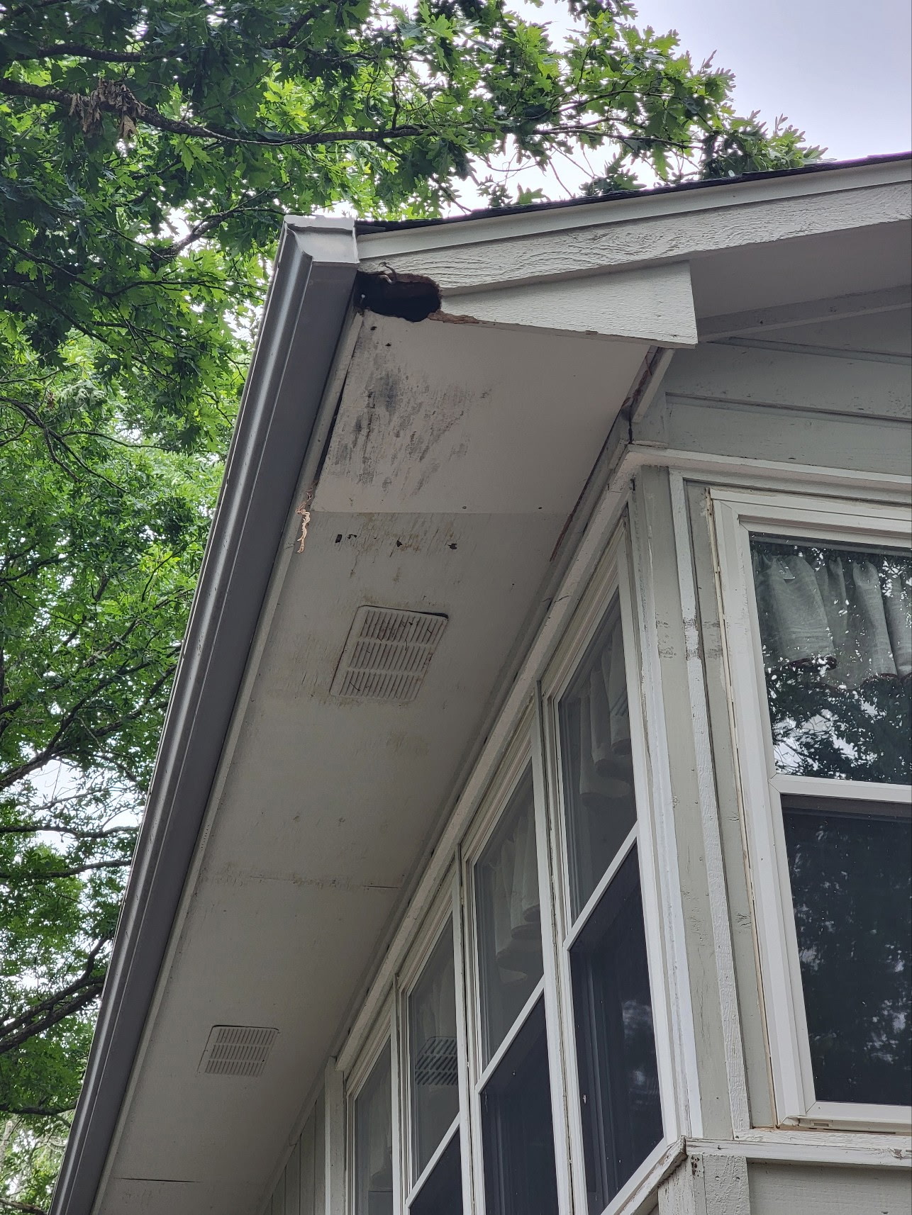Rotted fascia with hole at roofline corner before trim repair in Bella Vista