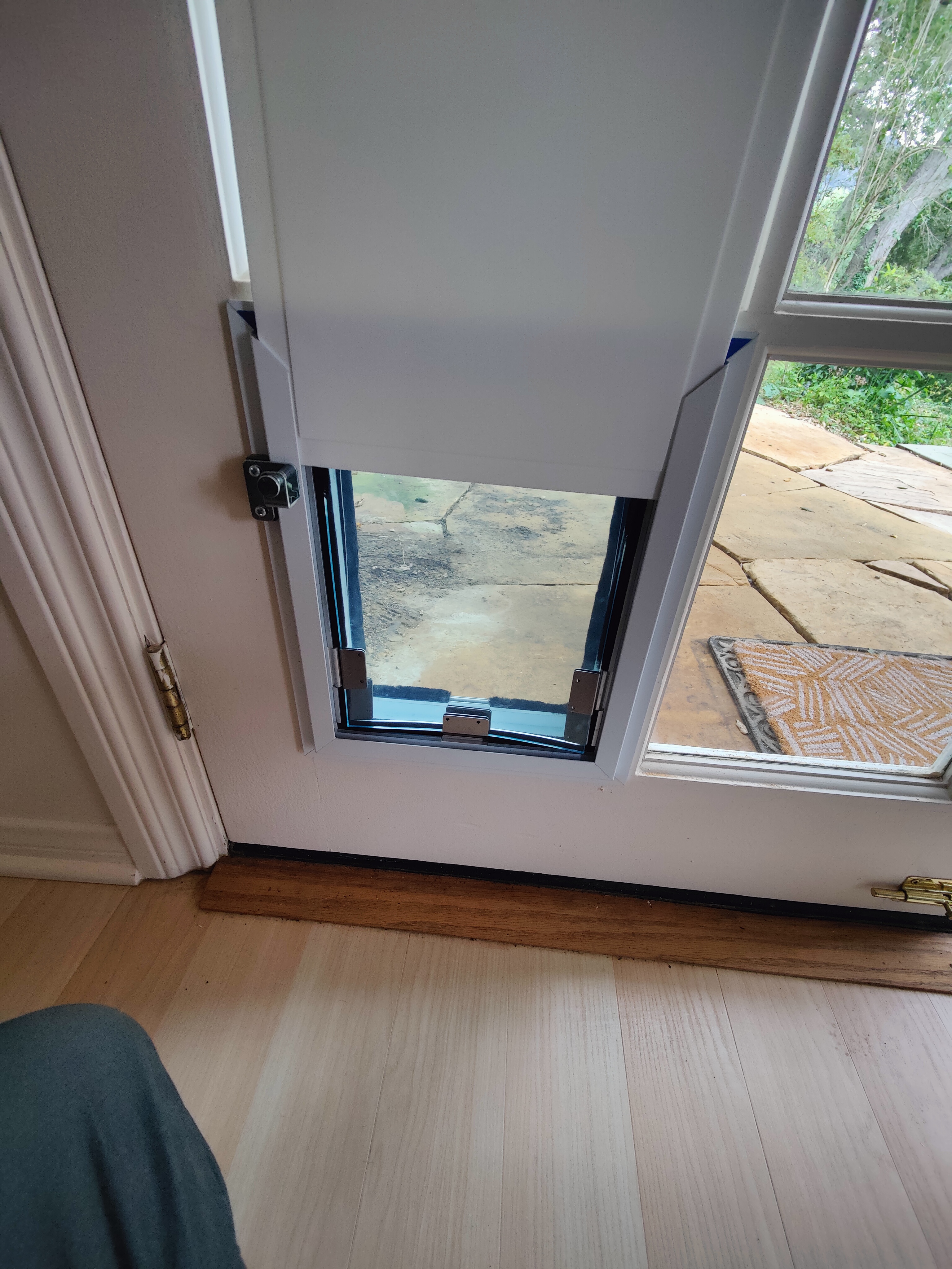 Completed pet door installation - exterior view showing clean finish